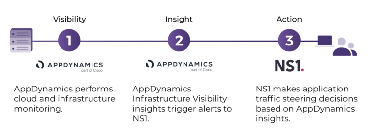 How the AppDynamics and NS1 works